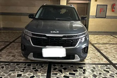 کیا، سلتوس