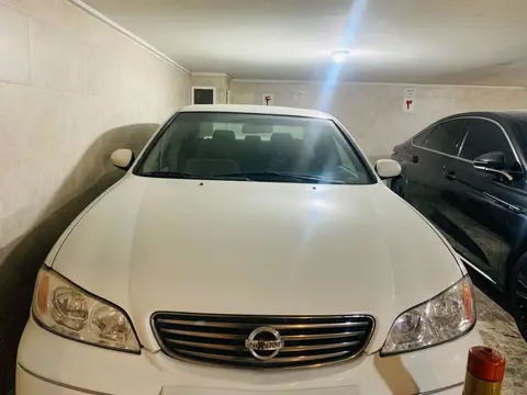 نیسان، ماکسیما