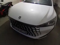 لاماری، اکو