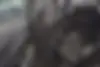 فونیکس،  FX