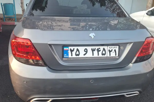 دنا، معمولی