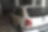فولکس،  گل