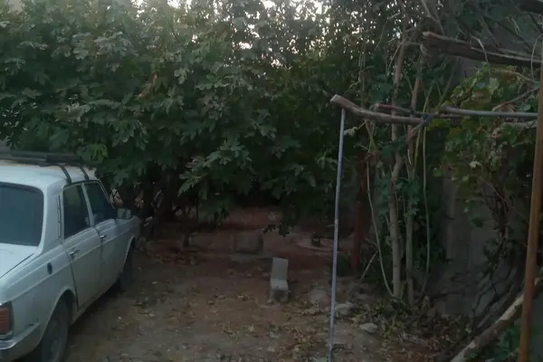 پیکان، سدان