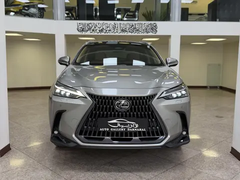لکسوس، NX