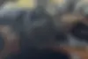 لکسوس،  LX
