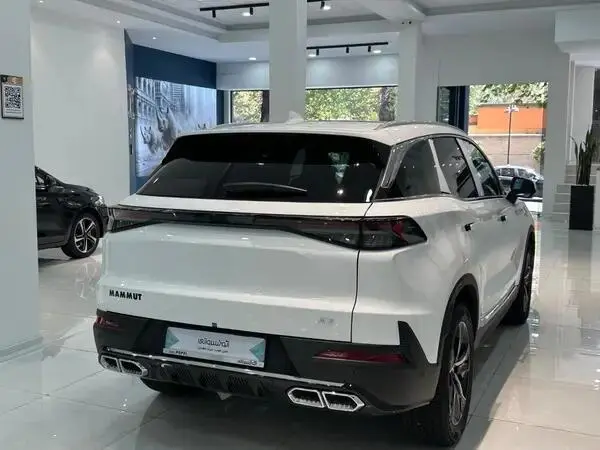 بیجینگ،  X7