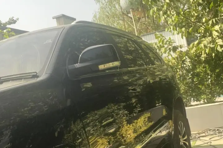 دایون،  Y7