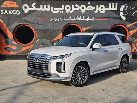 هیوندای، پالیسید