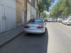 نیسان، ماکسیما