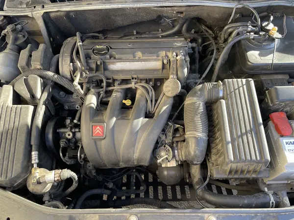 سیتروئن، زانتیا