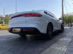 بی وای دی، چین L