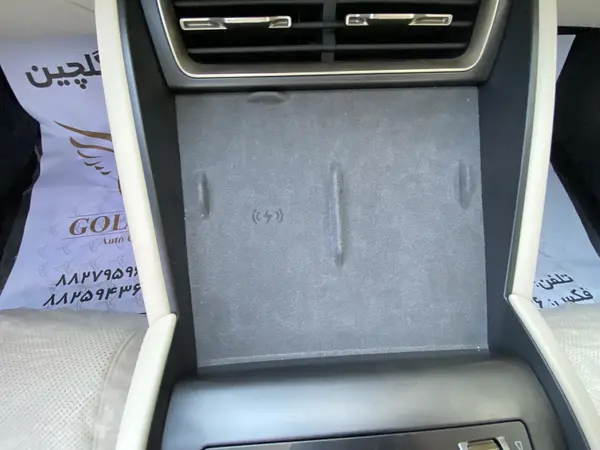 بی وای دی، چین ال DMi