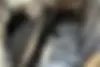 دنا،  پلاس EF7