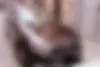 دنا  پلاس EF7