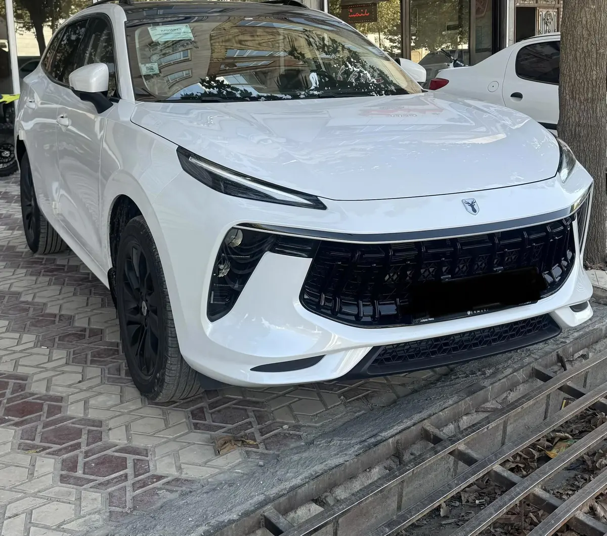 لاماری،  ایما