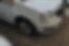 رنو،  تندر 90