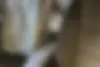 دنا  پلاس EF7