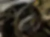 دایون  Y7