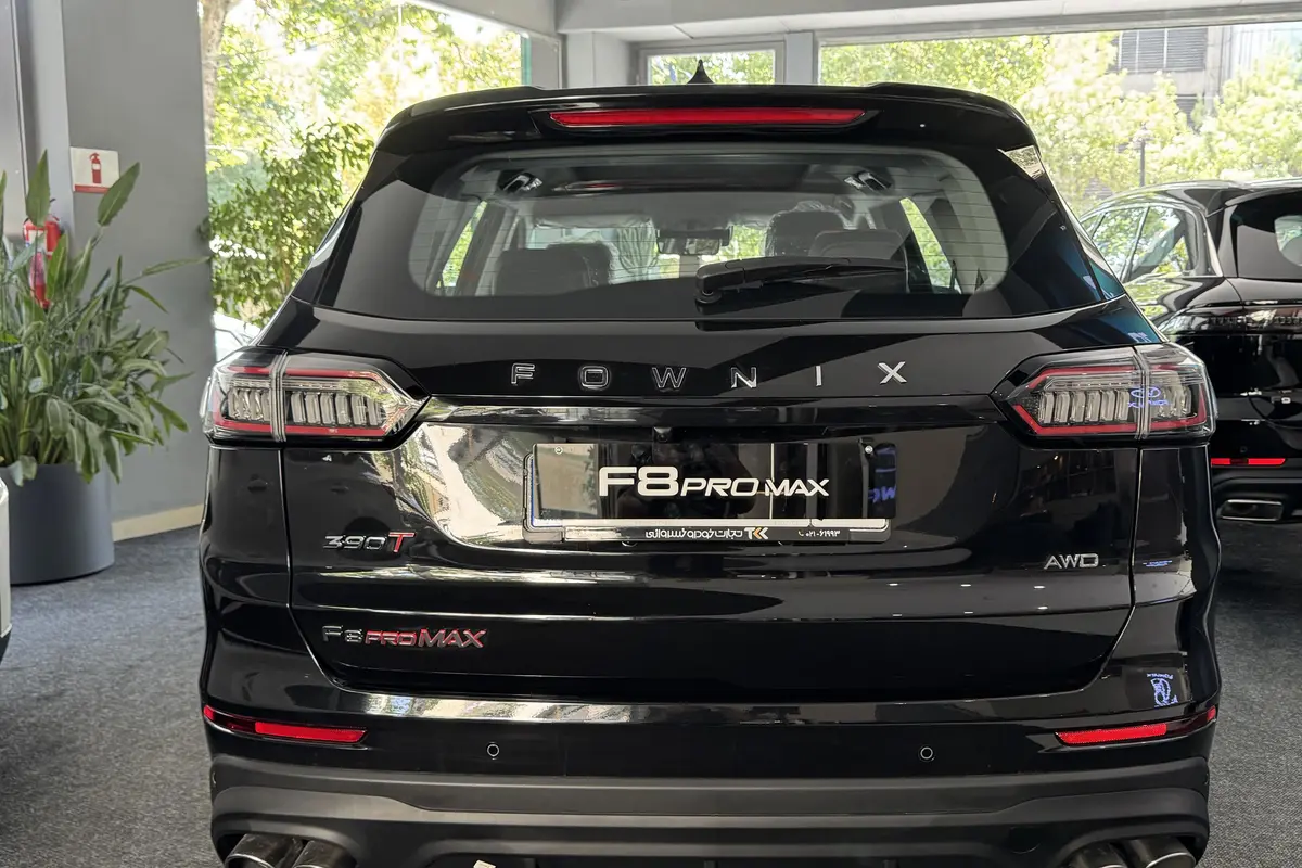 فونیکس،  تیگو 8 پرو مکس (F8)