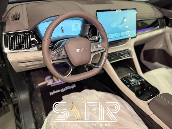 بی وای دی، سانگ پلاس DMi