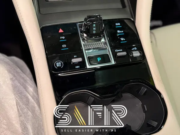 بی وای دی، سانگ پلاس DMi