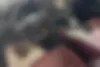 لکسوس،  LX