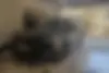 فونیکس،  آریزو 6 پرو