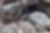 سمند،  سورن