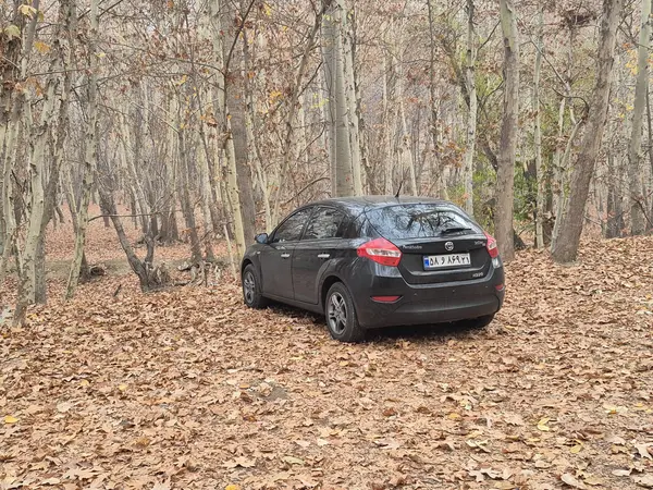 برلیانس، H320