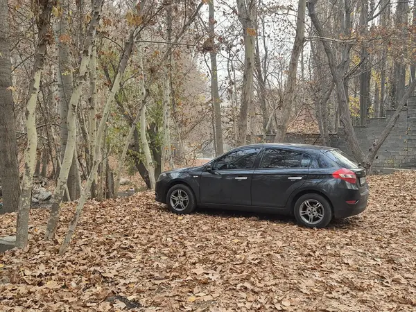 برلیانس، H320