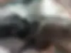 کی ام سی،  ایگل