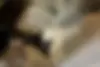 رنو  مگان (مونتاژ)