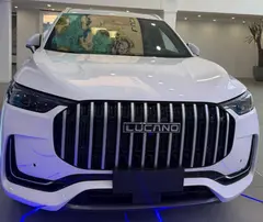 لوکانو، L8