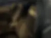 دنا،  پلاس EF7