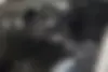 کیا  اسپورتیج