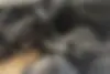 کیا  اپتیما