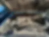 نیسان،  پاترول چهار در