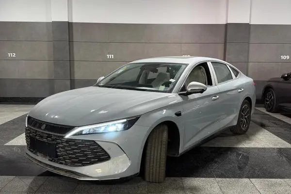 بی وای دی، چین L