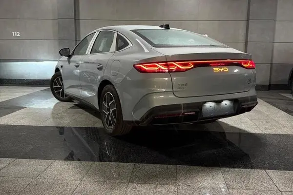 بی وای دی، چین L