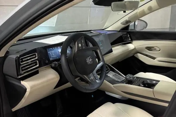 بی وای دی، چین L