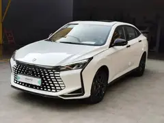 لاماری، اکو