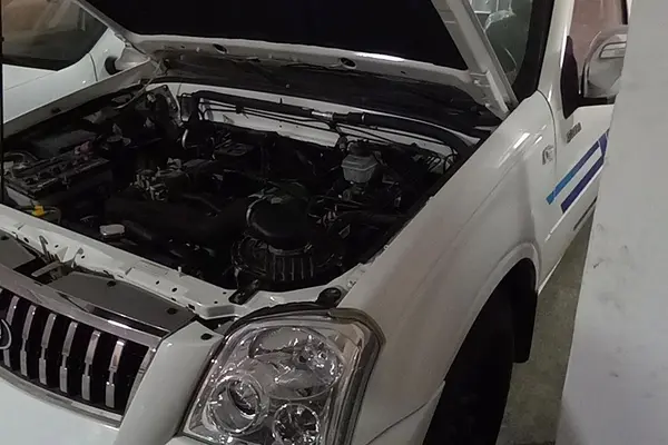 زامیاد، پادرا پلاس