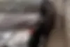 لکسوس،  LX