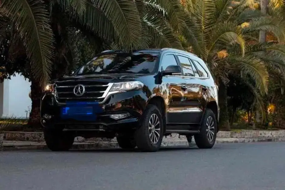 دایون،  Y7