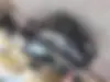 مارس،  C300