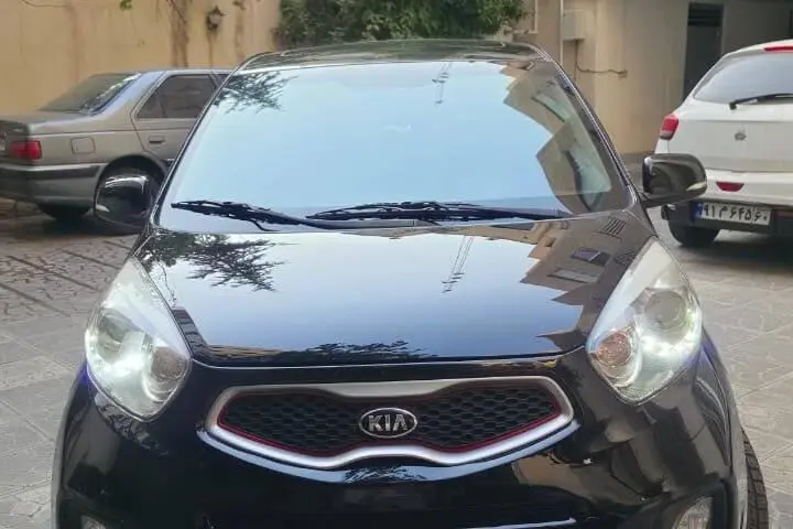کیا  پیکانتو
