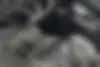 نیسان  سیلفی e-POWER