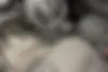 سوزوکی  جیمنی 5 در