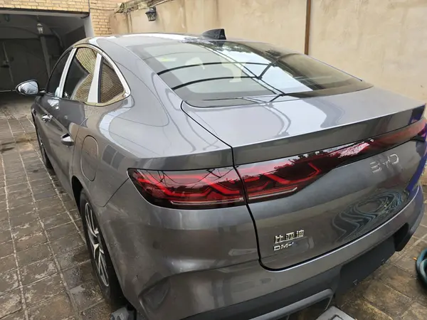 بی وای دی، چین ال DMi