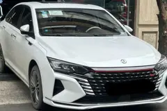 دانگ فنگ، شاین مکس